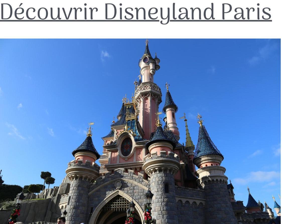 Proche Paris Et Disney-Calme Absolu Vaires-sur-Marne Εξωτερικό φωτογραφία